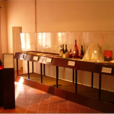 11. Sala di Matilde